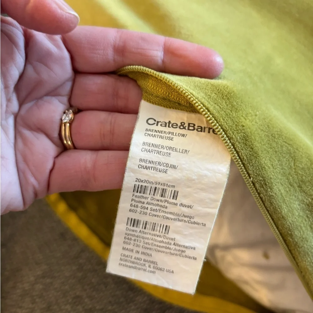Crate&Barrel feather insert